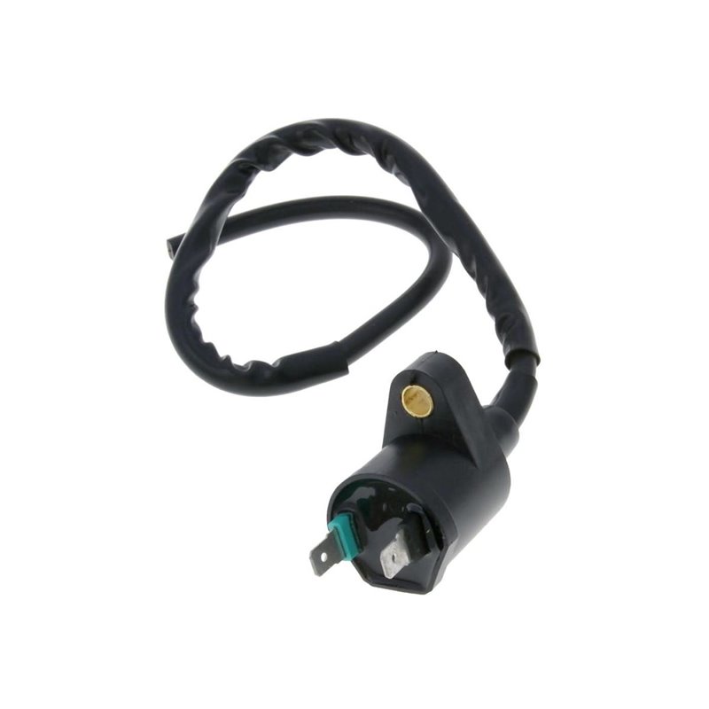 IGNITION COIL PP-21020410