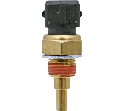 Sensore temperatura della testata PP-09300229
