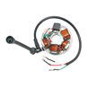 Alternatore Statore moto PP-21121508