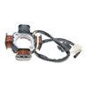 Alternatore Statore moto PP-21121512