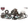 Kit revisione motore Wrench Rabbit per Polaris 900cc WR00009