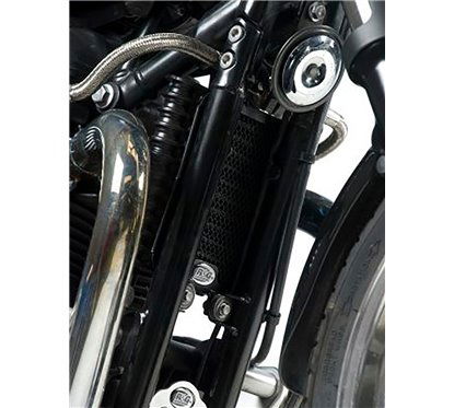 Retina protezione radiatore olio, Triumph Bonneville '08-, Thruxton '06-, Scrambler '08- R&G...