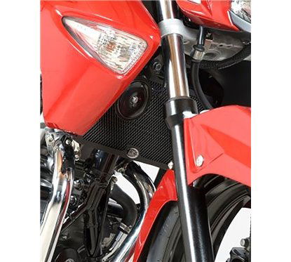 Retina protezione radiatore - Suzuki Inazuma 250 R&G RAD0143BK