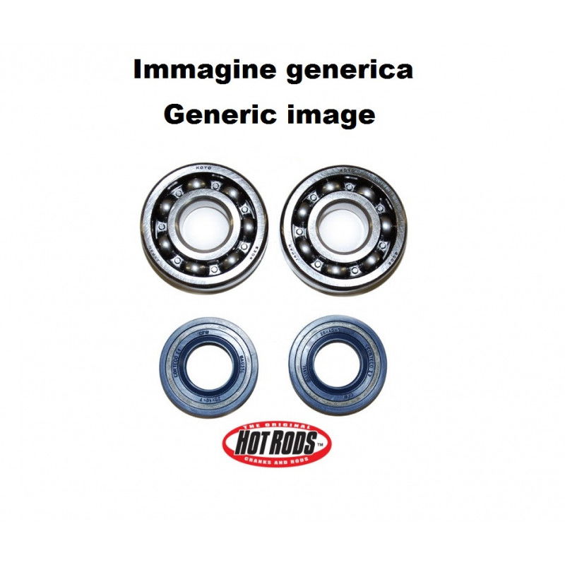 Kit cuscinetti e paraolio per albero motore HOT RODS K227