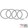 Race Gasket Kit: Kit Guarnizione Testata Cilindro e 2 Guarnizioni Base Cilindro R4856-053 ATHENA