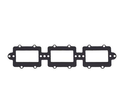 Intake Gasket S610485010013 ATHENA