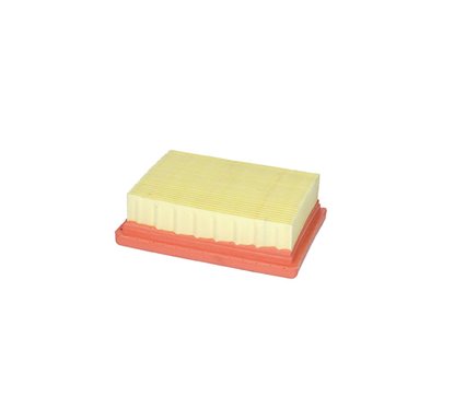 FILTRO ARIA - 265194