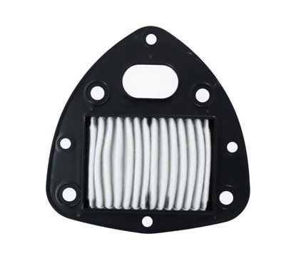 FILTRO ARIA - 265218