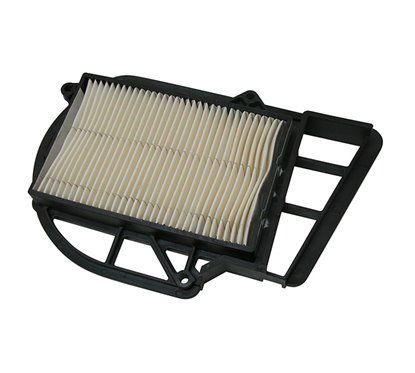 FILTRO ARIA CARTER - 264498