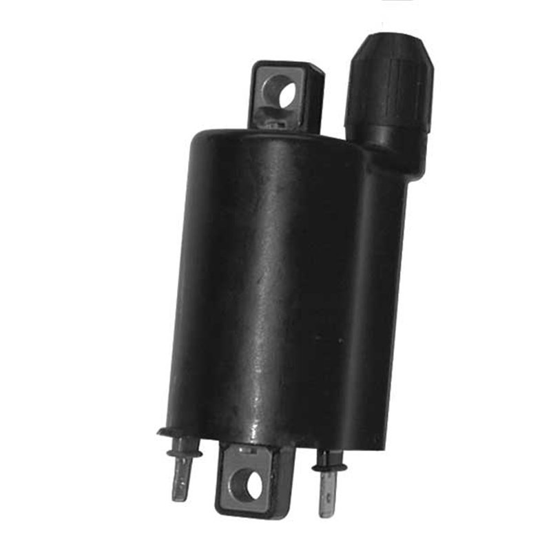 Ignition Coil with Cable & Spark Plug Connection - 162400.