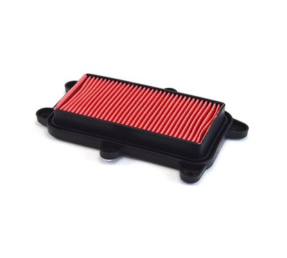 FILTRO ARIA - 265125