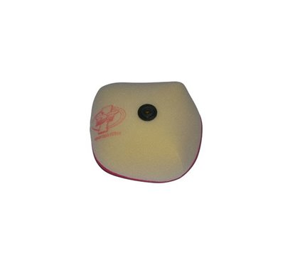 FILTRO ARIA DT-1 267150110