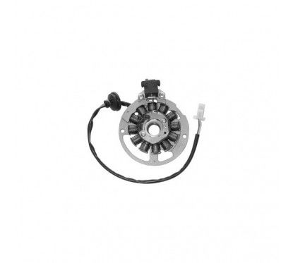 Statore Completo DUCATI - SGR-31.142012