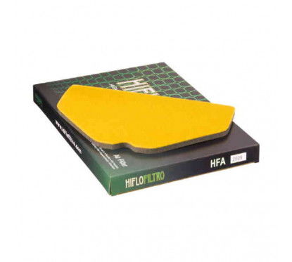 Filtro aria HIFLO HFA2909