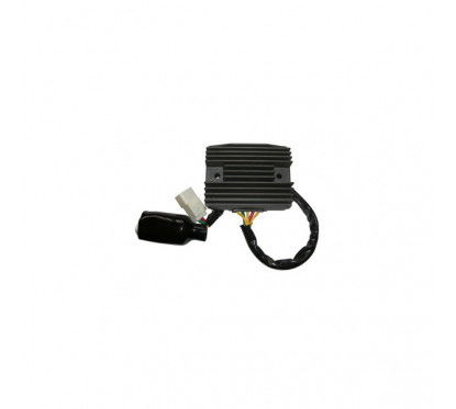 REGULATOR SGR - SH 689-GB 12V-C.C. TRIFASE - 5 CABLES 175991