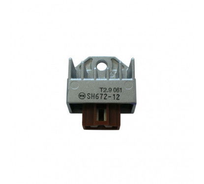 REGULATOR SGR - 12V-CA/CC SH672-12 MORSETTIERA MARRONE 178026