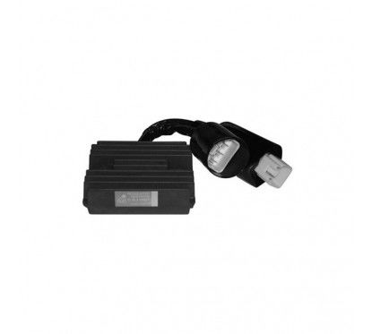 REGULATOR SGR - TRIFASE 12V/CC - 5 CABLES 175970