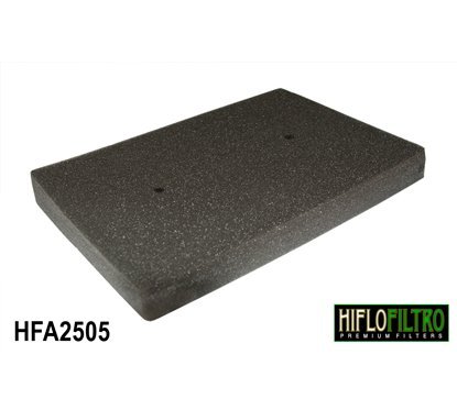 Filtro aria HIFLO HFA2505
