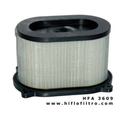 Filtro aria HIFLO HFA3609