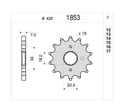 PIGNONE #1853 Z 14