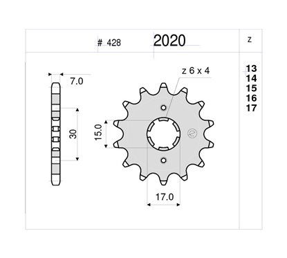 PIGNONE #2020 Z 15