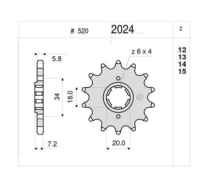 PIGNONE #2024 Z 12