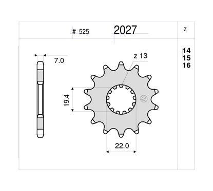 PIGNONE #2027 Z 14