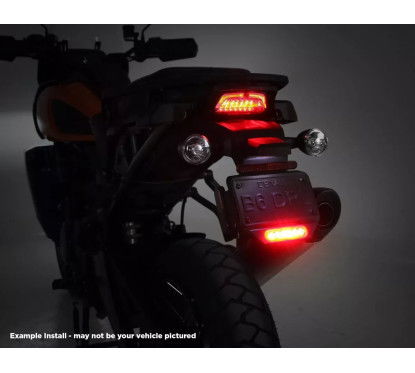Denali LUCE FRENO POSTERIORE B6 singolo con montaggio su piastra Harley-Davidson Pan America...