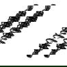 Coppia Ammortizzatori Posteriori Bitubo RE001WMB02V2 - Regolazione Precarico Molla, Molla Nera Coppia Ammortizzatori Posteriori Bitubo RE001WMB02V2 - Regolazione Precarico Molla, Molla Nera