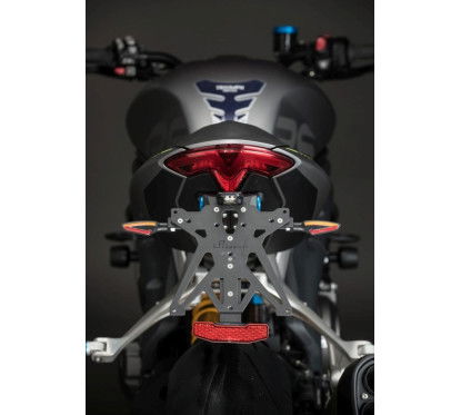 LighTech Pair of Arrows with Rear Red Light and Integrated Stop Light Homologated E8 - LED,...