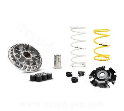 Malossi Multivar 2000 Sport Variator for Honda 125, Lambretta, Peugeot, and SYM - Improve...