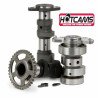Albero a cammes HOT CAMS 4110-1INGS