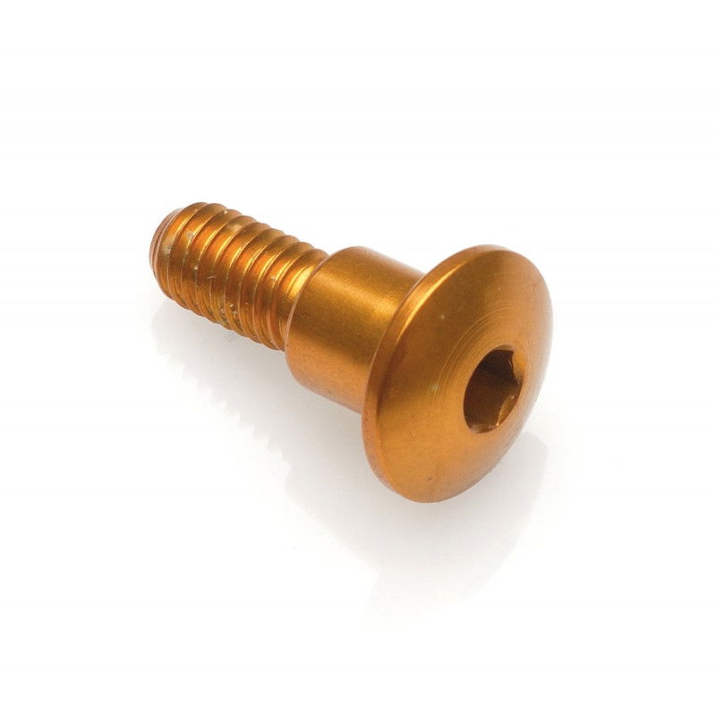 SPECIAL SCREW M6 X 11 + SMOOTH PART D8,2 X 4 GOLD LIGHTECH SPECIAL SCREW M6 X 11 + SMOOTH PART D8,2 X 4 GOLD LIGHTECH