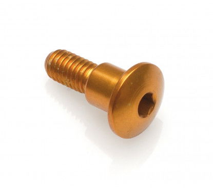 VITE SPECIAL M6 X 11 + RIB 8,2 X 4 ORO LIGHTECH