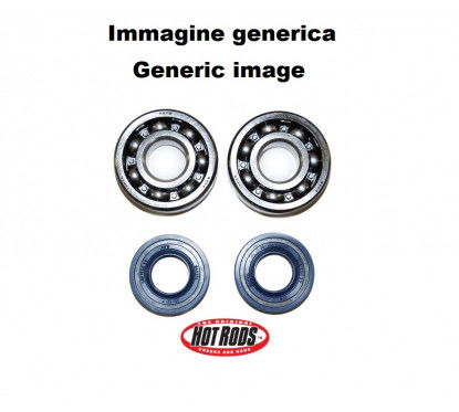 Kit cuscinetti e paraolio albero motore HOT RODS K232