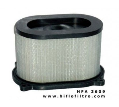 Filtro aria HIFLO HFA3609