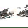 Engine overhaul kit Wrench Rabbit for Arctic Cat 400 DVX 2004 WR101-060A for sale on...