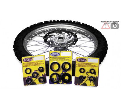 Kit Cuscinetti mozzo ruota anteriore PIVOT WORKS PWFWK-A01-542