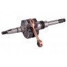 061814 - Oem Replacement Crankshaft for Scooter Athena