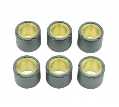 S41000030P060 - Rollers à¸ 20x17 - Gr. 13,5 for Maxi Scooter Athena