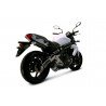 COMPLETE SYSTEM CARBON CAP TERMIGNONI RELEVANCE STAINLESS STEEL CARBON SLEEVE HOM KAWASAKI ER...