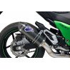 SILENCER CARBON CAP TERMIGNONI RELEVANCE STAINLESS STEEL CARBON SLEEVE HOM KAWASAKI Z800...