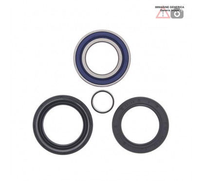 Kit cuscinetti ruota anteriore 25-1005 ALL BALLS