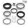 Rear differential bearing and oil seal kit  25-2070 ALL BALLS