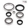 Front differential bearing and oil seal kit 25-2073 ALL BALLS