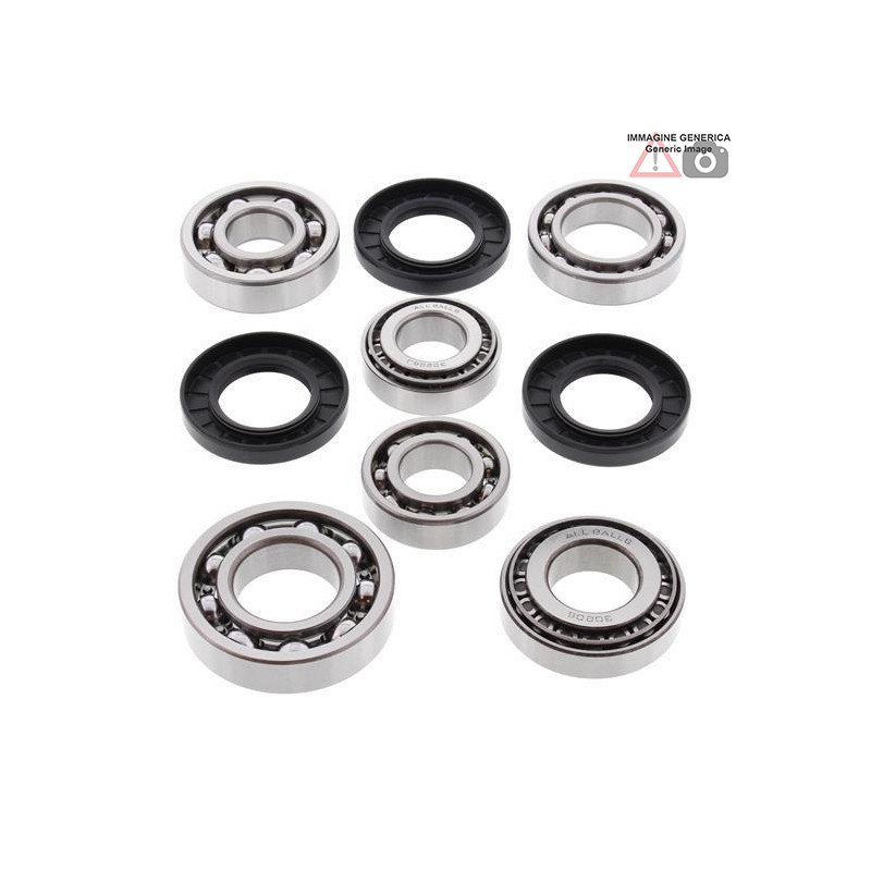 Rear differential bearing and oil seal kit  25-2074 ALL BALLS