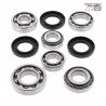 Rear differential bearing and oil seal kit  25-2074 ALL BALLS