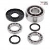 Front differential bearing and oil seal kit 25-2075 ALL BALLS