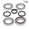 Front differential bearing and oil seal kit 25-2076 ALL BALLS
