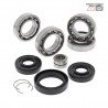 Front differential bearing and oil seal kit 25-2078 ALL BALLS